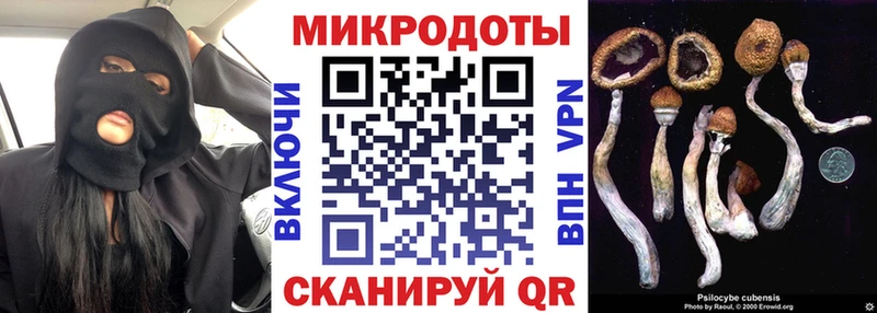 Галлюциногенные грибы Psilocybe  Осташков 